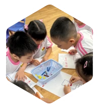 Giáo dục toàn diện